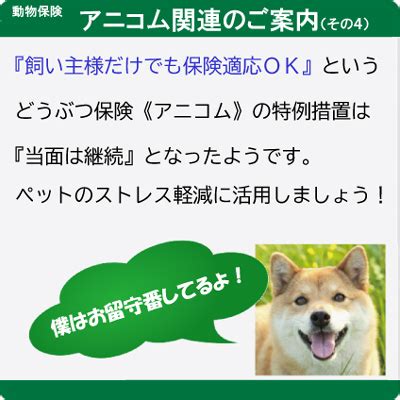 アイビー ペット クリニック：あなたの愛するペットの健康を守る