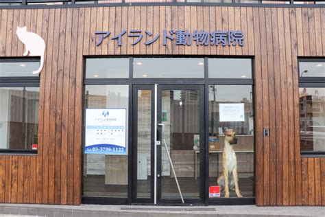 アイランド動物病院