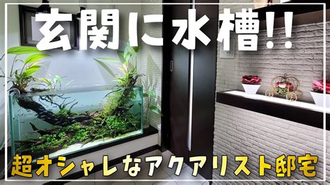 アクア キューブで美しい水景を楽しもう！