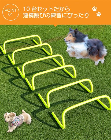 アジリティトレーニング犬: 俊敏性向上の究極ガイド