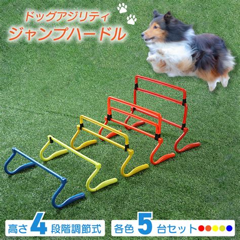 アジリティハードル: 犬のフィットネスとトレーニングに最適