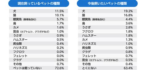 アダルトペットの人気の理由