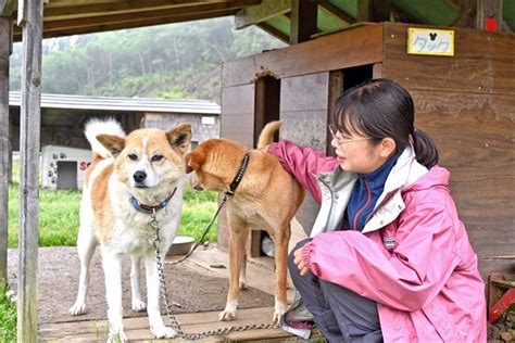 アダルト動物の世話と管理の包括ガイド