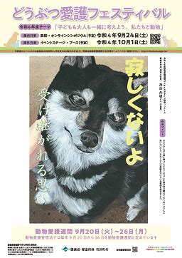 アダルト動物の適切なケアと管理に関する包括ガイド