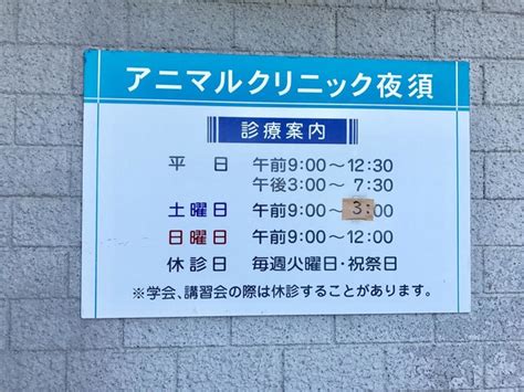 アニマルクリニック夜須でペットの健康を最優先に！