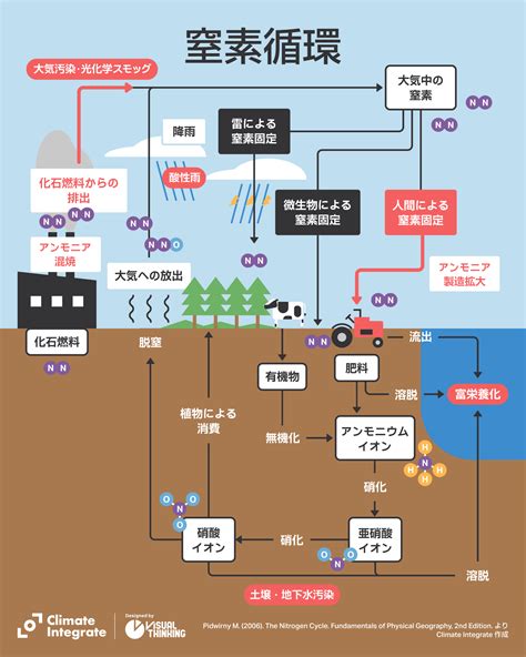 アメリカンブルーに影響を与える一般的な毒素