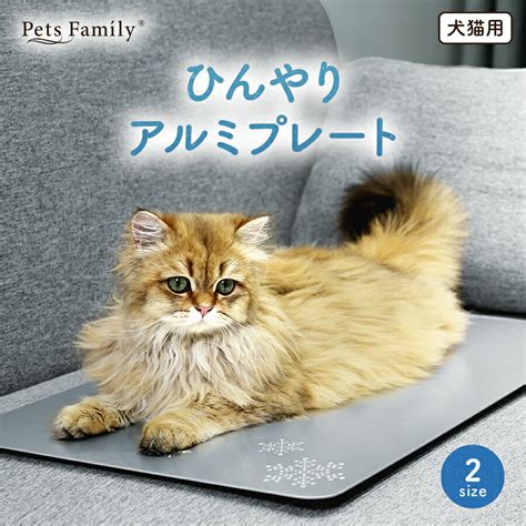 アルミプレート猫：ペット愛好家のための画期的な製品