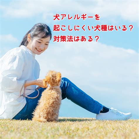 アレルギーが出にくい犬