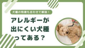 アレルギーが出にくい犬種を見つけよう！