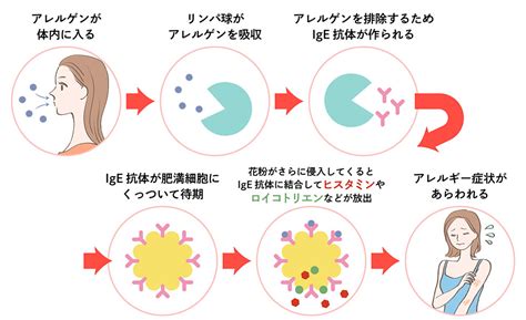 アレルギーとは