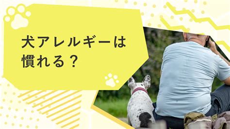 アレルギーの出にくい犬