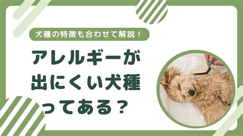 アレルギーの出にくい犬種を徹底解説！