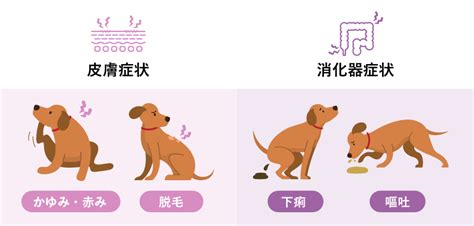 アレルギーの症状と犬との関係