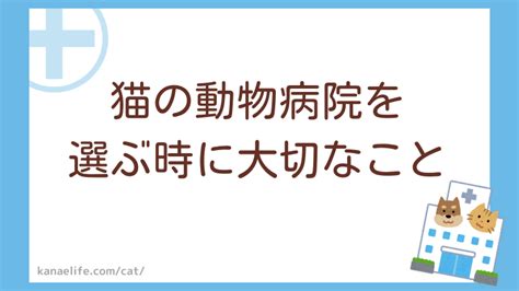 インター動物病院を賢く選ぶための包括ガイド