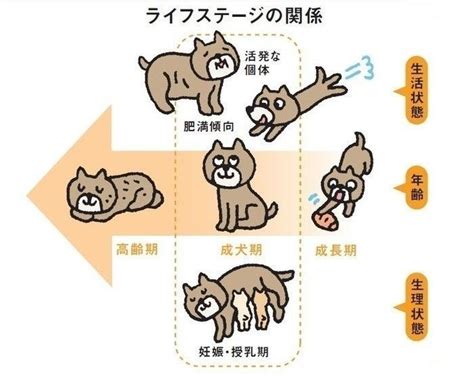 イースト犬の栄養ニーズ