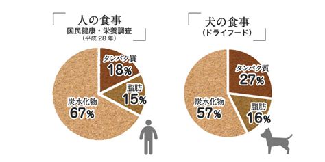 イースト犬の食事に関するデータ