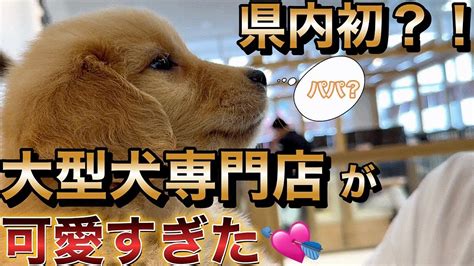 イースト犬飼うための完全ガイド