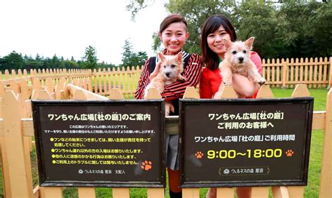 ウェルネス の 森 那須 犬：あなたと愛犬のためのウェルネスの楽園