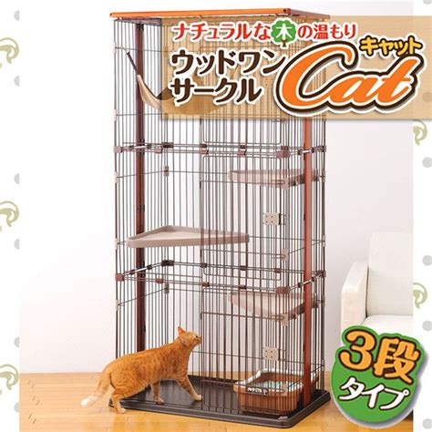 ウッドワン サークルキャットで愛猫の快適で安全な暮らしを