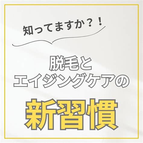 エイジングケアフードで若々しい肌を取り戻そう！