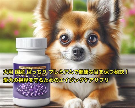 エイジングケア犬 ～愛犬の健康と長寿のために～