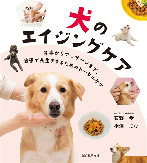 エイジング ケア 犬 ～愛犬の健康と幸せな老後を支えるために～