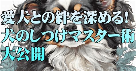 エイジング 12で愛犬との絆を深める