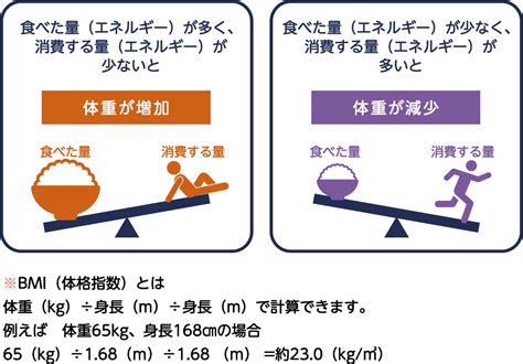 エネルギー摂取量が減少：