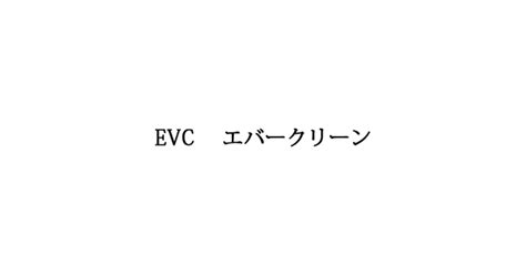 エバークリーンの概要