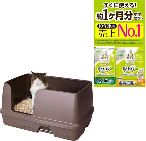 エバーグリーン猫砂で快適な猫のトイレを実現