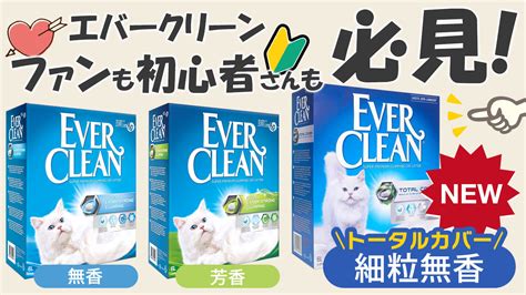 エバー クリーン 猫砂で、あなたの愛猫と快適な日々を