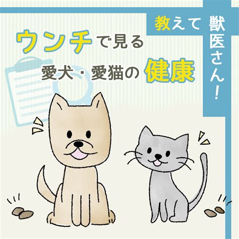 エムズ動物病院：ワンちゃん・ネコちゃんの健康管理の要