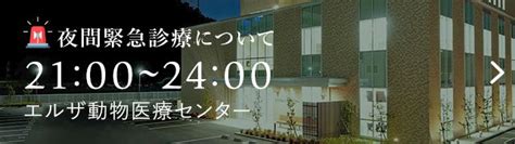 エルザ動物病院夜間診療のご案内