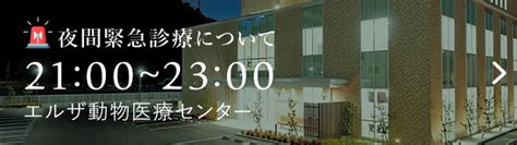 エルザ動物病院 夜間: 愛するペットの緊急事態に備える