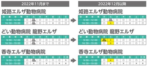 エルザ香寺の年間行