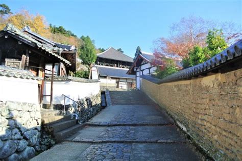 エルザ香寺：歴史、建築、魅力を徹底解剖