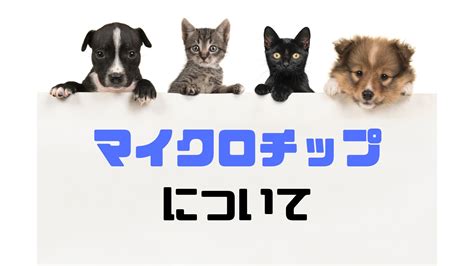 オオツ 動物 病院: 動物愛好家のための包括的なガイド