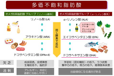 オメガ 6 脂肪酸: