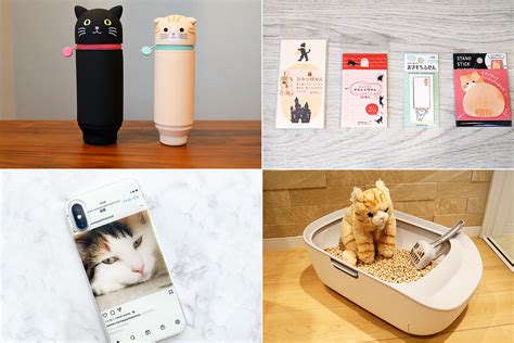 オリジナルの猫グッズで愛猫に特別な時間を