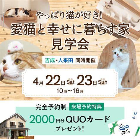 オリジナル猫グッズで愛猫と楽しい時間を過ごそう！