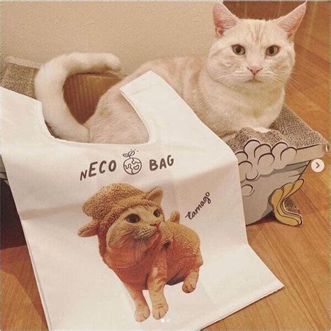 オリジナル猫グッズで愛猫を幸せに！