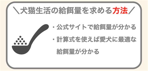 オリジン 子猫の適切な給餌量の決定方法