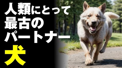 オリジン 犬: 人類最古のパートナーの原点を探る