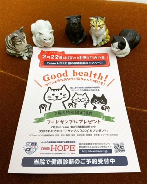 オリーブの丘動物病院：ワンちゃん・ネコちゃんの健康を全力でサポートします。