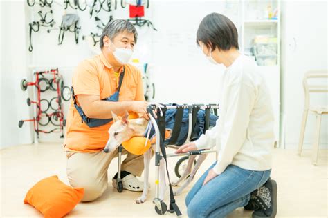 オレンジライフ湘南：湘南を楽しむための究極のガイド