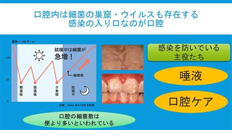 オーラルケアサンプルで健康的な口腔内を手に入れよう