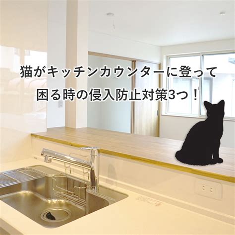 カウンターキッチンで猫対策を万全に！快適で安全な空間を作るためのガイド