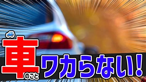 カッパのサイズ選び方ガイド：快適で安全な水遊びのために