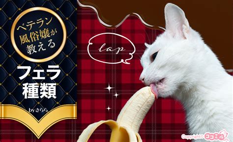 カフェで猫とチグらを楽しむための完全ガイド