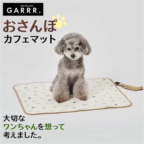 カフェマット犬を迎え入れる際の完全ガイド